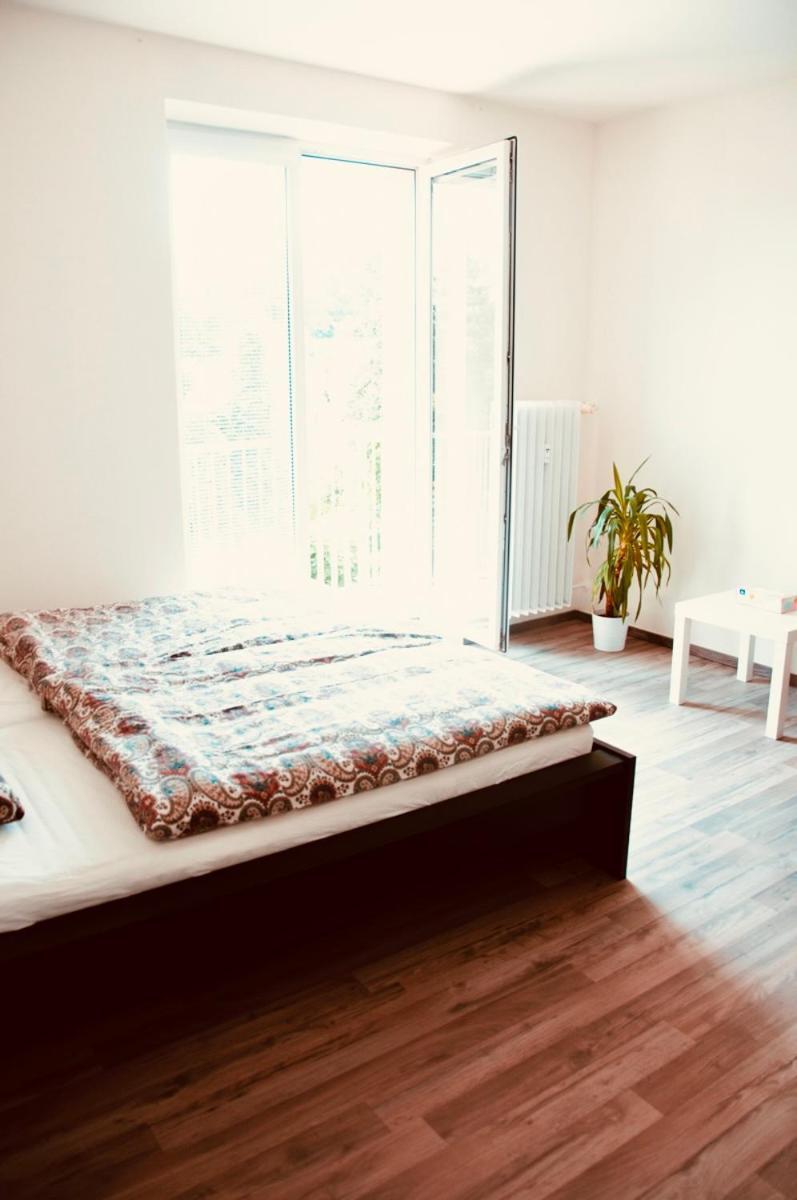 Zarohem 2 Bedrooms Apartment In Center With Balcony برنو المظهر الخارجي الصورة